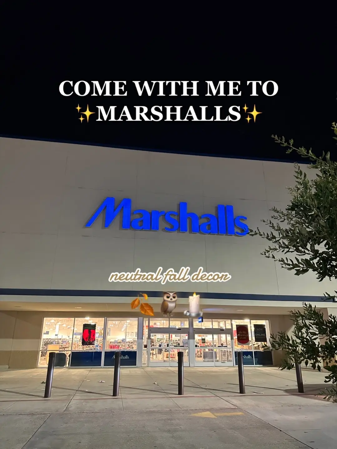 Neutral fall decor at Marshalls! So many good finds 🤎 #comewithme #comewithmetomarshalls #marshallsfinds #marshallsshopping #marshallshomedecor #letsgoshopping #marshallsfall2023 #neutralfalldecor #cleangirlaesthetic #fallhomedecor 