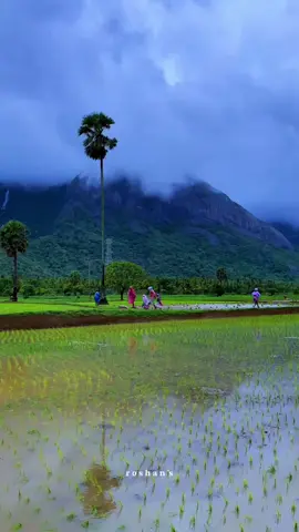#Gccw  ശുഭദിനം ❤🙏❤🙏❤