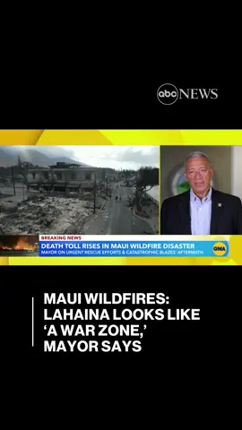 Devastating #wildfires on #Maui have left its historic town of #Lahaina looking like 