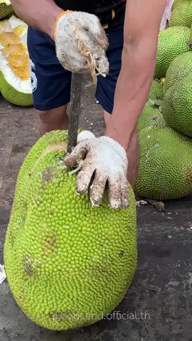 OMG Jackfruit Thailand 😱 !! #asmr #asmrvideo #fypシ #fy #fruit #fruits #Thailand #usa