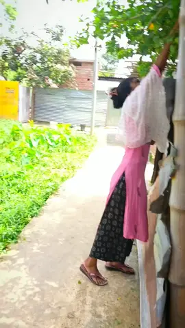 #see mor you vidos #নতুনইফেক্টplzvairal #viralvideo #@Riad Hossain 