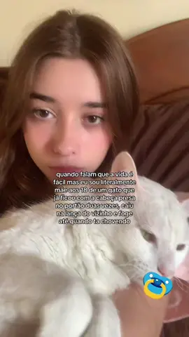o coitado de acha imortal e enquanto isso o bolso chora #gato #foryou 