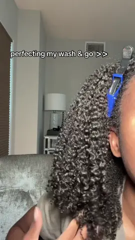 I really love doing my hair idk #naturalhair #curlyhair #washandgo #washngo #haircare #BeautyTok 