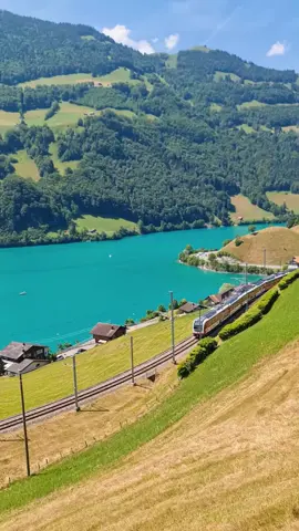 switzerland  paysages #tunisienne🇹🇳_maroco🇲🇦_algérien🇩🇿 #germanysnexttopmodel2023اكسبلور #السعودية_الارجنتين #tunisienne🇹🇳 #francescobaccega #tunisianfood 