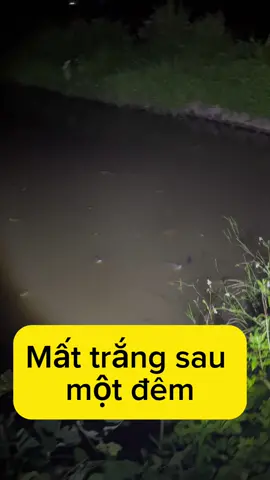 Mất trắng sau một đêm, mọi người hãy chú ý trước khi dùng bất cứ một loại thuốc nào, hay sử lý một vấn đề gì đấy 