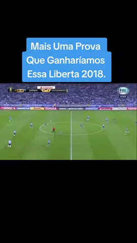 #gremiomaiordosul💙🖤🤍 #gremiocopeiro #gremio #libertadores2018 