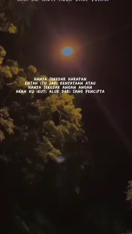 #belajarditiktok 