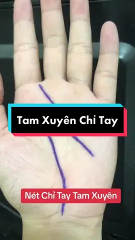 nét chỉ tay tam xuyên #xuhuong #xemboichitay #tuvituongso #tamlinh #phongthuy #LearnOnTikTok 