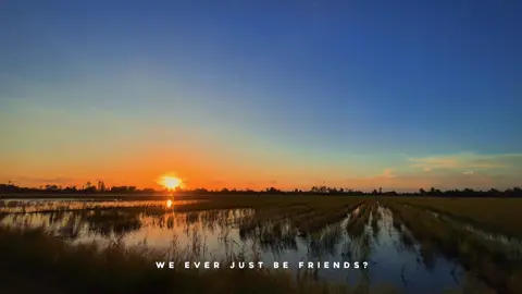Đồng ruộng quên mình #chill #xuhuong #LearnOnTikTok #fyp 
