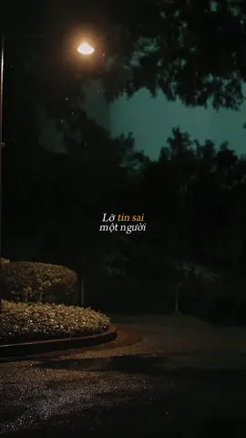 Em lại lỡ tin sai một người… / càng đặt nhiều hy vọng thì kết thúc lại càng đau? #capcutmaster #cucmanh #lunyentertainment #tiktokgiaitri #nhachaymoingay 