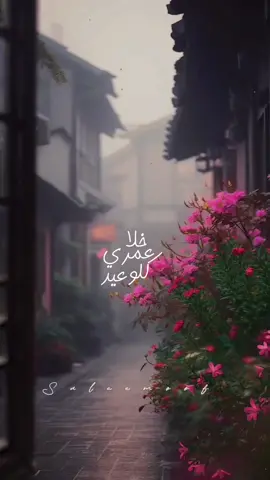 يلي قلبك معايا 🤍🌸 #الليالي #نوال_الزغبي #nawalelzoghbi #nawalelzoghbi_fans #oldsong #اغاني_لاتنسى #Sing_Oldies #موسيقى #music #lyricvideo #tiktokmusic #tiktokarab #tiktoklongs #viral #fyp #foryou #foryoupage #fypシ #explore #اكسبلور #اكسبلورexplore #تصميم_فيديوهات🎶🎤🎬 #مشاهدات #دعم 