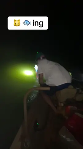 Catfishing at night in south Louisiana, using my new light from “ The Frog Assassin “ ! Check them out on Facebook #cooksomericeproductions #cajuntiktok #southlouisiana #juglinefishing #catfishing #catdaddy 