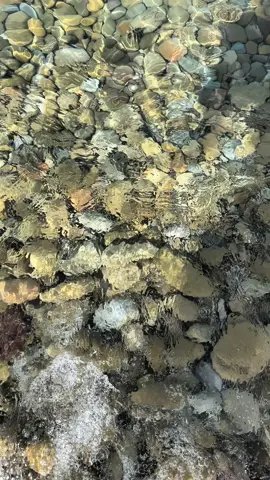 من شاطئ الحواظ #الجبهة ..هل من عشاق للشاطئ 🌊