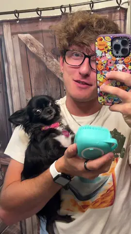 This Brush Is Amazing 😍❤️ #tiktokshop #1jolly1 #dogs #fyp #foryoupage #joshpuddinanddozer #pets 