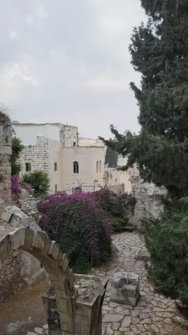 Israel Trip has been in the drafts & finally getting to post this amazing trip with the whole family ✈️ This was such a special trip, from spending time with friends & family, to visiting different cities & of course trying different foods! Traveling with a 9 month old was not easy, but thankfully, we had quite a few babysitters 😅 Can't wait to go back 🇮🇱 #fyp #foryoupage #motherhood #toddlermom #travel #israel #exploreisrael #parenthood #traveltiktok #travellife #travelbucketlist #family #baby 