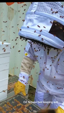 Testing the OZ Armour @beekeepinggear bee suit. So happy it works.   I think the bees are not happy with my DPI requirements for alcohol wash.  #killerbees #bee #beekeepers 