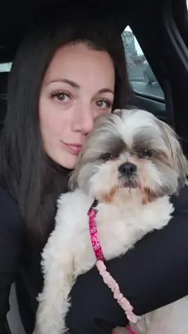 the greatest gift in life is having a dog as your best friend 🩷🌟  #mygirl #myfurbaby #myworld #foryoupage #shihtzu #shihtzulove #iloveyou❤️ 