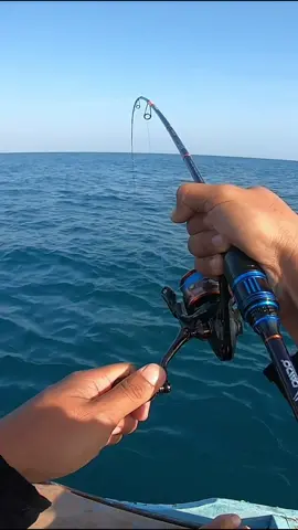 pertama kali strike ikan sepanjang ini😱 #mancin #mancingdilaut #mancingcasti #mancingpinggiran 