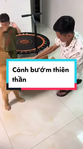 Cánh bướm điện tử đeo lưng siêu phẩm hót nhất mùa trung thu #canhbuomdoentu #canhbuom #canhthienthan #trungthu #CapCut  #xuhuong #viral #fyp 