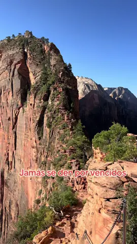 Nos subimos al pico de Angels Landing en el Parque Nacional de Zion💪🗻🏔️ #zion #Hiking #angelslanding #zionnationalpark #zionshuttles #shuttle #angelslanding #angelslandingtrail #utah #utahhiking #travel #exploreutah #trending 