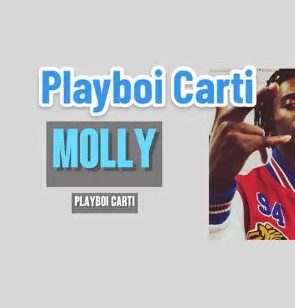 This song had the world in it’s grip when it leaked‼️😭 #raptv #bars #PlayboiCarti #rapper 