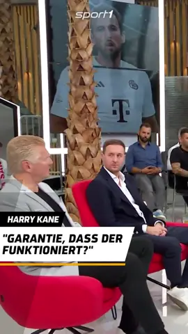 Stefan Effenberg ist überzeugt von Kane 👏 Wird Kane sofort einschlagen?  #sport1 #sport1news #fcbayern #kane #effenberg #totalvideo