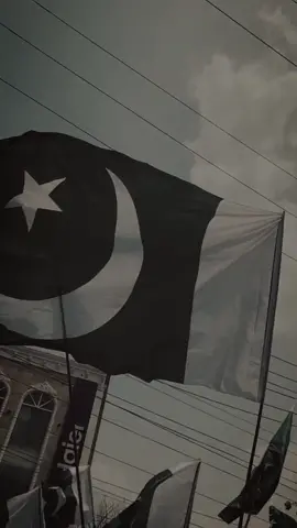😭🤍🇵🇰#trending #fypシ゚viral #100kfollowers #fypシ #foryoupage #flooweryy_aesthetic_ #14august2023 #happyindependenceday #Tiktok #islamic_media #growmyaccount #crew07 @TikTok 