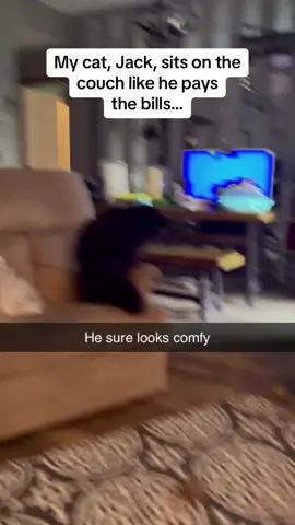 Sitting on the couch like he has 4 kids and a mortgage 😭😭😭 #Pubity (jack.the.mc via @ViralHog)