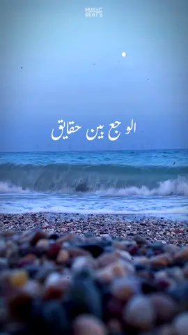بالسلامة للراحوا عرفونا قيمتنا ايه 👌 #اصاله #اصاله_نصري #صولا #صولا_نصري #eslamelkasar #trending #explore #foryou #viralvideo #fypageシ #تصميم_فيديوهات #حالات_واتس #اكسبلور #fypシ #explorepage #sadstory  #viral 