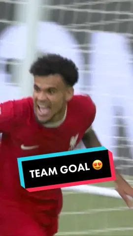 A fine team goal finished off by Lucho 👏 #LFC #Liverpool #Diaz 