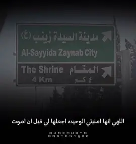 يالله حققلي هاي المنيه 😭😣#ستوري_حسيني🤎 #لشهر_محرم_الحرام #سيده_زينب_عليه_سلام 