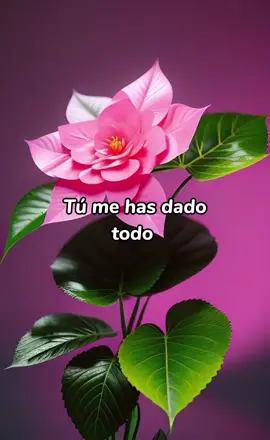 #viral #estadosparawhatsapp #cumplespromesas #viral #parati #musicacristiana😍 #diosteama❤🙏😇 #tiktokcristiano #tiktokcristiano #arrebato #hoymeapoderodeloqamimepertenece #estadosparawhatsapp 