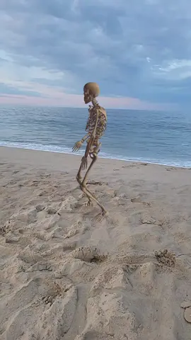 skeleton hanging out on the beach#beach #beachvibes #beachlife 