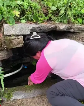 Most unique Chinese green jelly making, this is so interesting to watch  #chinesefood #thefoodranger #fyp #fypspotted #food #fypシ #fyppagee #fyppppppppppppppppppppppp #trending #trend #viral #foodranger #foryou #tiktokviral 