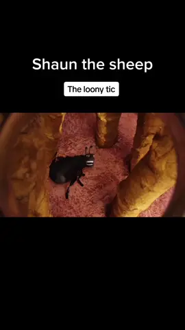 The loony tic #shaunthesheep #serunya17an #kuliner17an #serunyakuliner #kartunanak #kartunlucu #foodfestontiktok 
