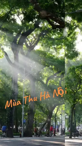 Tháng 8 mùa thu  #xuhuong #tiktok #nhachaymoingay #hieuly 