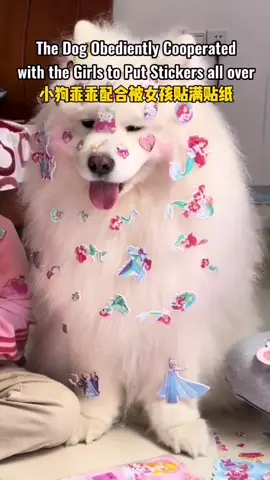 The dog obediently cooperated with the girls to put stickers all over. What a well-behaved dog!#chinatiktok #china #dog #girls #cute #stickers #funny