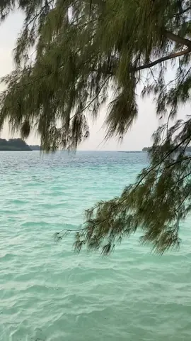 prettiest view in Jakarta🐠🩵🫧 #pantai #beachvibes #clearsea #summervacation #kepulauanseribu #spotjkt #placetogo #pulauseribu #pasirputih 