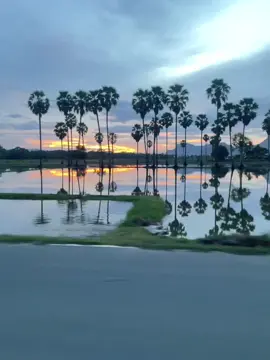 บรรยากาศยามเย็นกับท้องฟ้าสวยๆ #หนองชุมพล #บรรยากาศชิวๆ #เพชรบุรี 