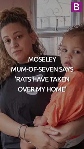 Moseley mum-of-seven says 'rats have taken over my home'! Mum Simone Carrs said her mental health took a nosedive after 'feeling ignored' by her estate agents and landlord #moseley #reallife #news #birmingham