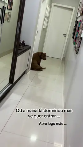 A carinha 🥹🥰 #fy#fyy#foryou#foryoupage#viral#video#memes#virall#capcut#challenge#pravc#fofura#pitbull#tiktok#cachorro#dogsoftiktok#dog#animaisnotiktok#fypage 
