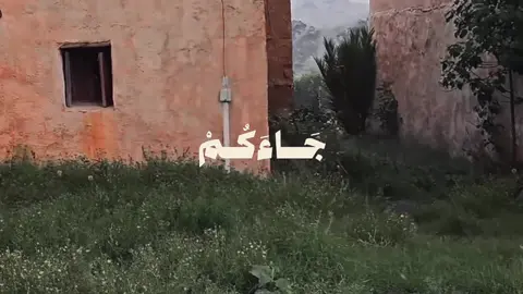 ‏استغفر الله وأتوب إليه 🌿📍#viral #viralvideo #fypシ #لقد_جاءكم_رسول_من_انفسكم #explore #قران_كريم 