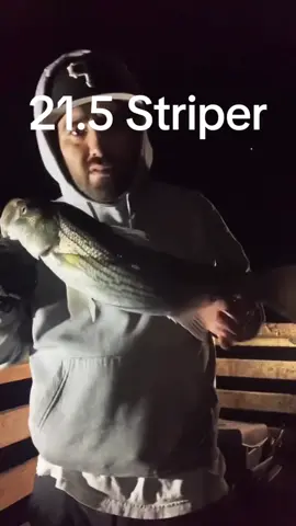 21 1/2 Striper #fish #fishing #fishlife #fishtok #fishinglife #fishingtiktoks #life #california #fun #fishingtime #fishingfun #saltwater #fisher 