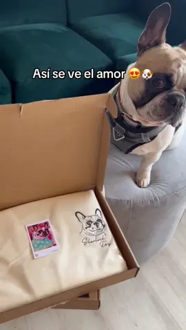 El amor mas grande del planeta 😍🐶 #buzopersonalizado #mascotas #perrostiktok #bogota #colombia 