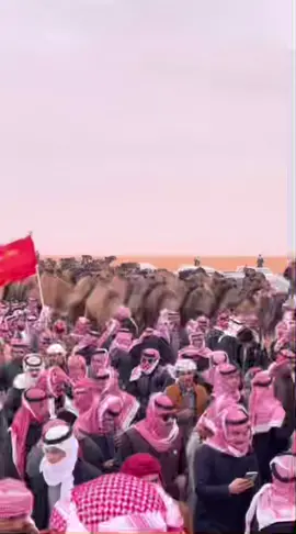 حرب عمامك يوم مس الجنايب🔥⚔️⚔️. #مالي_خلق_احط_هاشتاقات #foryou #foryou #شعراء #قصيد #مالي_خلق_احط_هاشتاقات🧢 #مرحبا #تصميمي #حرب #حرب_اهل_الثلااث_المعجزات #حرب_الدول_ماتنطح_الا_دوله 