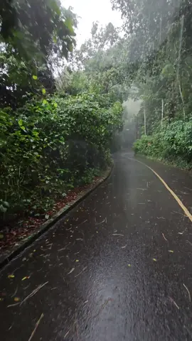 Quando a chuva cai, a adrenalina sobe! 🌧️🚵‍♂️  Voltando do Cristo Redentor na vibe da natureza e da aventura! @Sense Bike   #MTBnaChuva #ExplorandoTrilhas #CristoRedentor #AventuraNatrilha #Adrenalina #CiclistadeAção #NaturezaExtrema #VidaAoArLivre #DesafioMolhado #MTBLovers