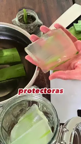 No hay otra como la sabila 😌 #gastritis #gastritisremedio #gastritiscronica 