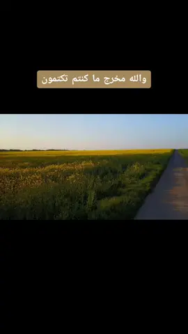 #سورة_البقرة  #سبحان_الله_وبحمده_سبحان_الله_العظيم  #استغفرالله_العظيم_واتوب_اليه  #اللهم_صل_وسلم_وبارك_على_نبينا_محمد 