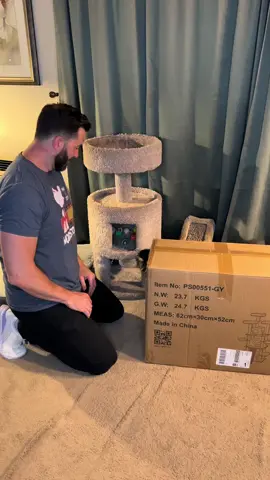 This cat tower is epic! #drtom #veterinariansoftiktok #veterinarian #fyp #animaldoctor #cat #catsoftiktok #mycat 