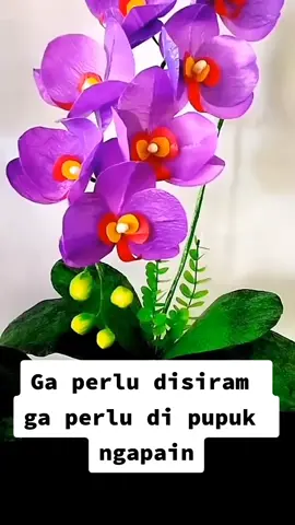 Ngga usah dipupuk ga usah disiram ngapain cape cape #anggrekpalsu#anggrekplastik#tiktokpemula#fyp#idbonsaiku 